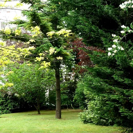 Apartment T1 Bis Monplaisir *